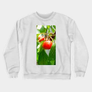 Cherries Crewneck Sweatshirt